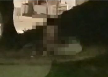 Vídeo: casal é filmado f0rnicando em plena Ponta Negra em Manaus
