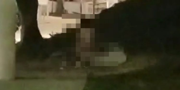 Vídeo: casal é filmado f0rnicando em plena Ponta Negra em Manaus