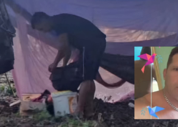 Trabalhador m0rre ao ser atingido por árvore durante derrubada em Manacapuru