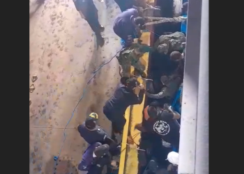 Vídeo: Mulher cai entre balsa e barco durante viagem para Festival de Parintins e é resgatada por mergulhador