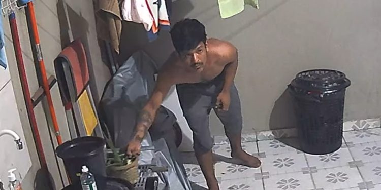 Vídeo: blindado sente cagaç0 com barulho e foge após invadir casa em Manaus