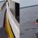 Vídeo: Idosos m0rr3m em naufrágio durante chuva em Barreirinha e sobrevivente fica horas à deriva