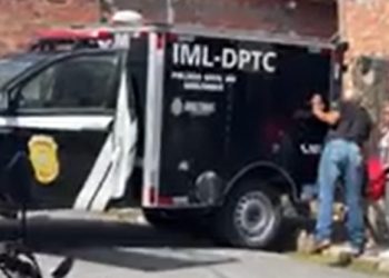 Idoso cai da árvore tentando pegar abiu e m0rre em Manaus