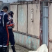 Vídeo: Jovem de 17 anos m@ta o próprio irmão e depois foge em Manaus