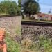 Vídeo forte: suspeit0 tenta fugir pulando no trem mas acaba decepad0 sem a perna
