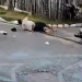 Vídeo: Na ‘esquina da m0rte’, motociclistas ‘rebolam’ no chão após ac1dente em Parintins