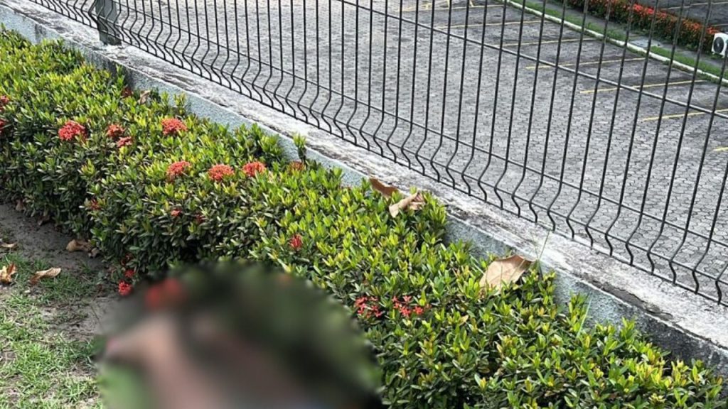Homem é encontrado sem vida na Avenida dos Oitis e polícia investiga possível atr0pelament0