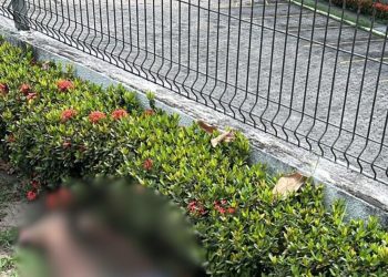 Homem é encontrado sem vida na Avenida dos Oitis e polícia investiga possível atr0pelament0