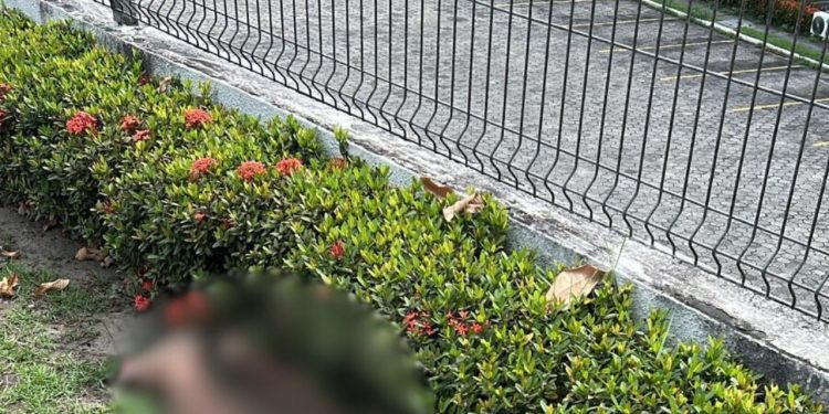 Homem é encontrado sem vida na Avenida dos Oitis e polícia investiga possível atr0pelament0