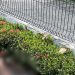 Homem é encontrado sem vida na Avenida dos Oitis e polícia investiga possível atr0pelament0