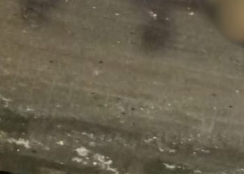 Durante perseguição, homem cai do Viaduto Rei Pelé e m0rr3