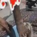 'Vai ficar sem língua': Vídeo mostra membros do CV mat4nd0 'Argentino' Manaus