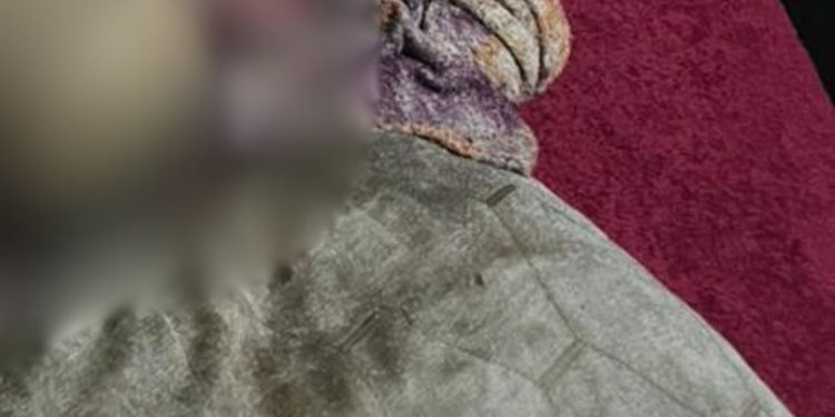 Veja: Idoso é encontrado morto em condições precárias dentro de casa no São José