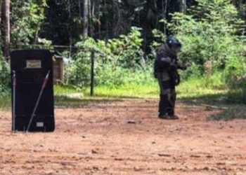 Granada é encontrada por policiais em área de mata no bairro Tarumã