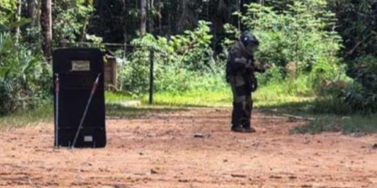 Granada é encontrada por policiais em área de mata no bairro Tarumã