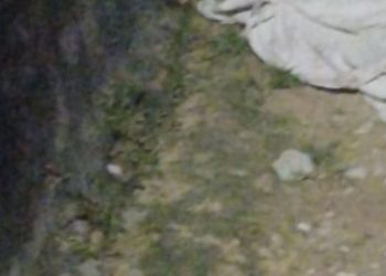 Vídeo: Homem é surpreendido e m0rt0 com fac4das no peito e pescoço no Jorge Teixeira