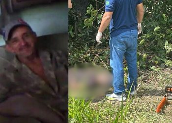 Idoso de 68 anos m0rr3 eletrocut4do durante serviço em área de mata na AM-010