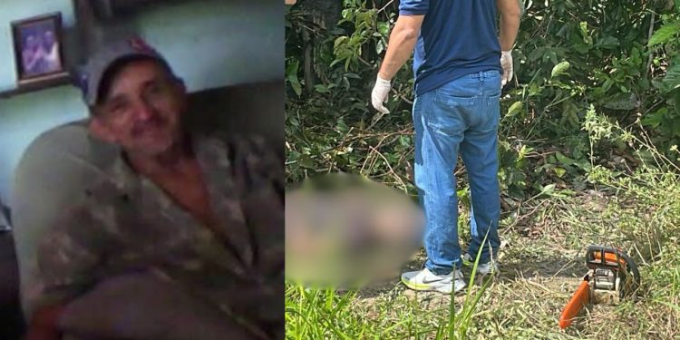 Idoso de 68 anos m0rr3 eletrocut4do durante serviço em área de mata na AM-010
