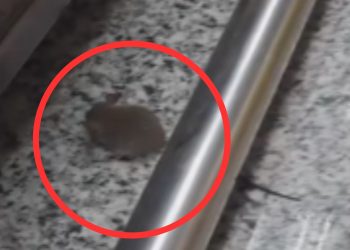 Catita é flagrada por cliente no Supermercado Veneza do Parque 10: 'Cadê a fiscalização?'
