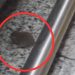 Catita é flagrada por cliente no Supermercado Veneza do Parque 10: 'Cadê a fiscalização?'