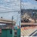 Após m0rt3s, prefeitura resolve colocar grades no Viaduto Rei Pelé para evitar mais acid3ntes
