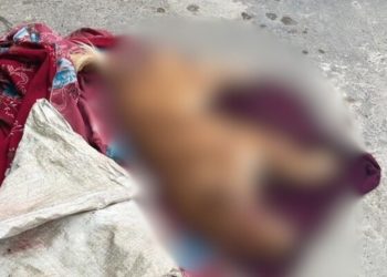 Homem é preso por m4tar cachorro com tir0 na cabeça durante brig4 com ex em Manaus