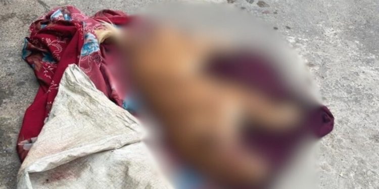 Homem é preso por m4tar cachorro com tir0 na cabeça durante brig4 com ex em Manaus