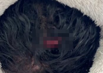 Filho de 11 anos parte pra cima  do ex da mãe dele e salva ela de m0rrer furada em Manaus