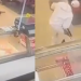 Vídeo: Funcionário tenta m@tar a t1r0s o colega em açougue de supermercado