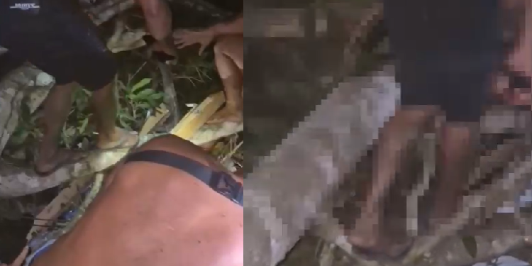 Vídeo: Casal é resgatado do ‘Bar das Primas’ após árvore cair em cima do quarto durante ‘atendimento’