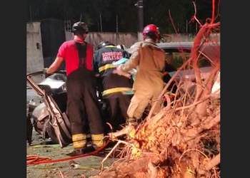 Vídeo: Vi0lent0 ac1dent3 d3strói árvore e deixa duas mulheres f3r1das na Zona Centro-Sul de Manaus