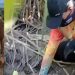 SSP confirma: corp0 encontrado em cova rasa é de jovem que estava desaparecido