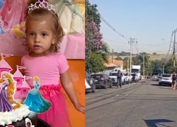 Pitbull adotado há dois meses m@ta menina de 2 anos em casa; mãe entra em ch0qu3