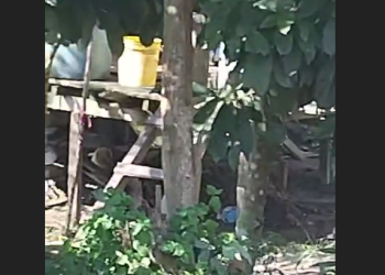 Vídeo: Moradores se rev0ltam com homem d2dand0 cadela no interior do Amazonas