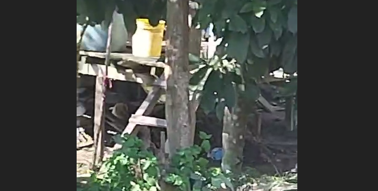 Vídeo: Moradores se rev0ltam com homem d2dand0 cadela no interior do Amazonas