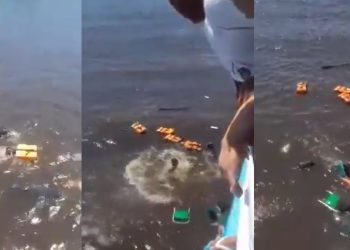 Vídeo: lancha afunda e passageiros pedem socorro no meio do rio no Amazonas
