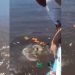 Vídeo: lancha afunda e passageiros pedem socorro no meio do rio no Amazonas