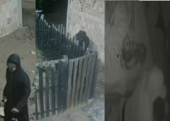 Vídeo: No Amazonas, homem invad3 casa de grávida, a arr@sta pelos cabelos e marido r3age