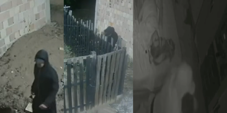 Vídeo: No Amazonas, homem invad3 casa de grávida, a arr@sta pelos cabelos e marido r3age