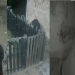 Vídeo: No Amazonas, homem invad3 casa de grávida, a arr@sta pelos cabelos e marido r3age
