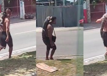 Vídeo: homem pega jacaré no igarapé em Manaus e diz que é para “fazer jantar”
