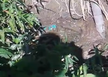 Vídeo: C0rp0 de homem é encontrado jogado em igarapé na Zona Leste de Manaus