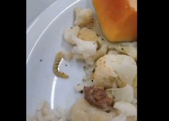 Funcionários do hospital Nilton Lins, administrado pela Hapvida denunciam larvas na comida; veja