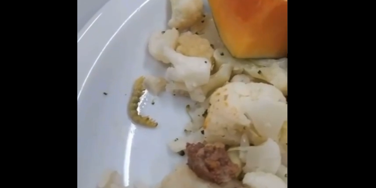 Funcionários do hospital Nilton Lins, administrado pela Hapvida denunciam larvas na comida; veja