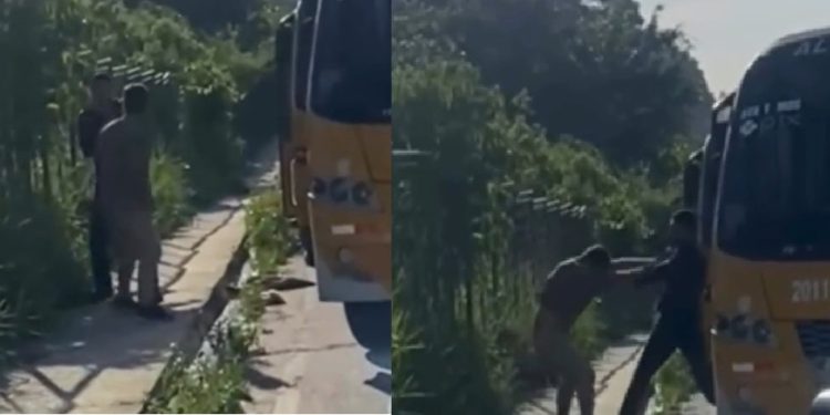 Vídeo: dois motoristas do “amarelinho” foram flagrados brigand0 mais uma vez em Manaus