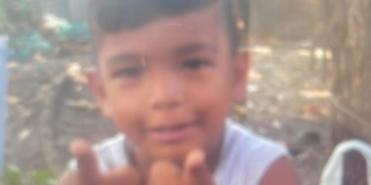 Menino de 4 anos m0rre em Manaus tomando banho de piscina na ZL