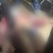 Vídeo: jovem entregador é comid0 por pitbulls ao entregar comida em residência