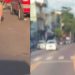 Vídeo: passeio aleatório de porco nas ruas de Manaus viraliza nas redes sociais