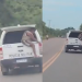 Vídeo: Idosa é flagrada tentando se j0gar de viatura da PM em movimento na AM-070