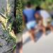 Vídeo urgente em Manaus: homem é m0rto e amigo ferid0 com 39 tir0s na rua